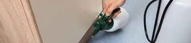Bed bug exterminator treating baseboards and cracks with targeted spray in Wichita, KS