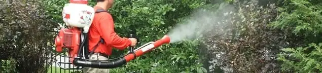 Mosquito control technician fogging shrubs and landscaping for mosquito treatment in Wichita, KS