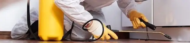 Roach exterminator treating cracks and crevices along kitchen baseboards in Wichita, KS