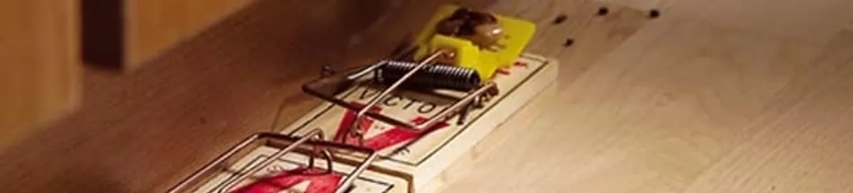 Rodent trap set indoors for rodent control and prevention in Wichita, KS